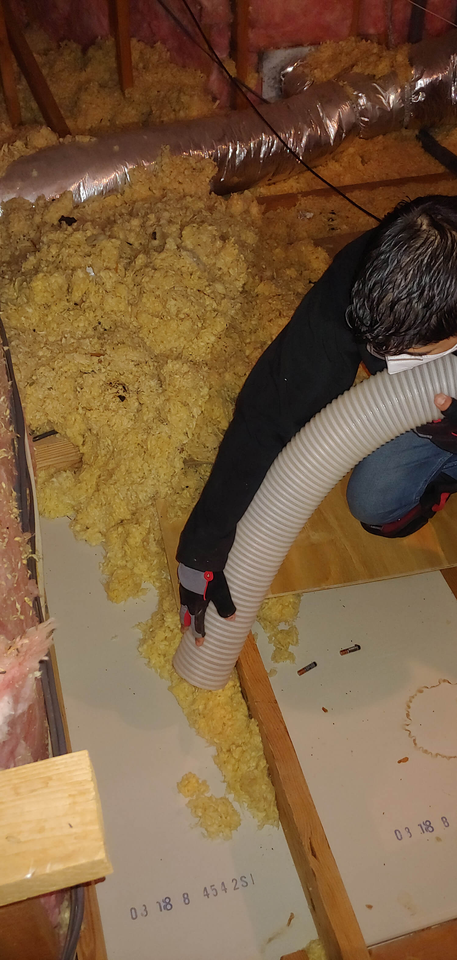 attic insulation removal LINCOLN