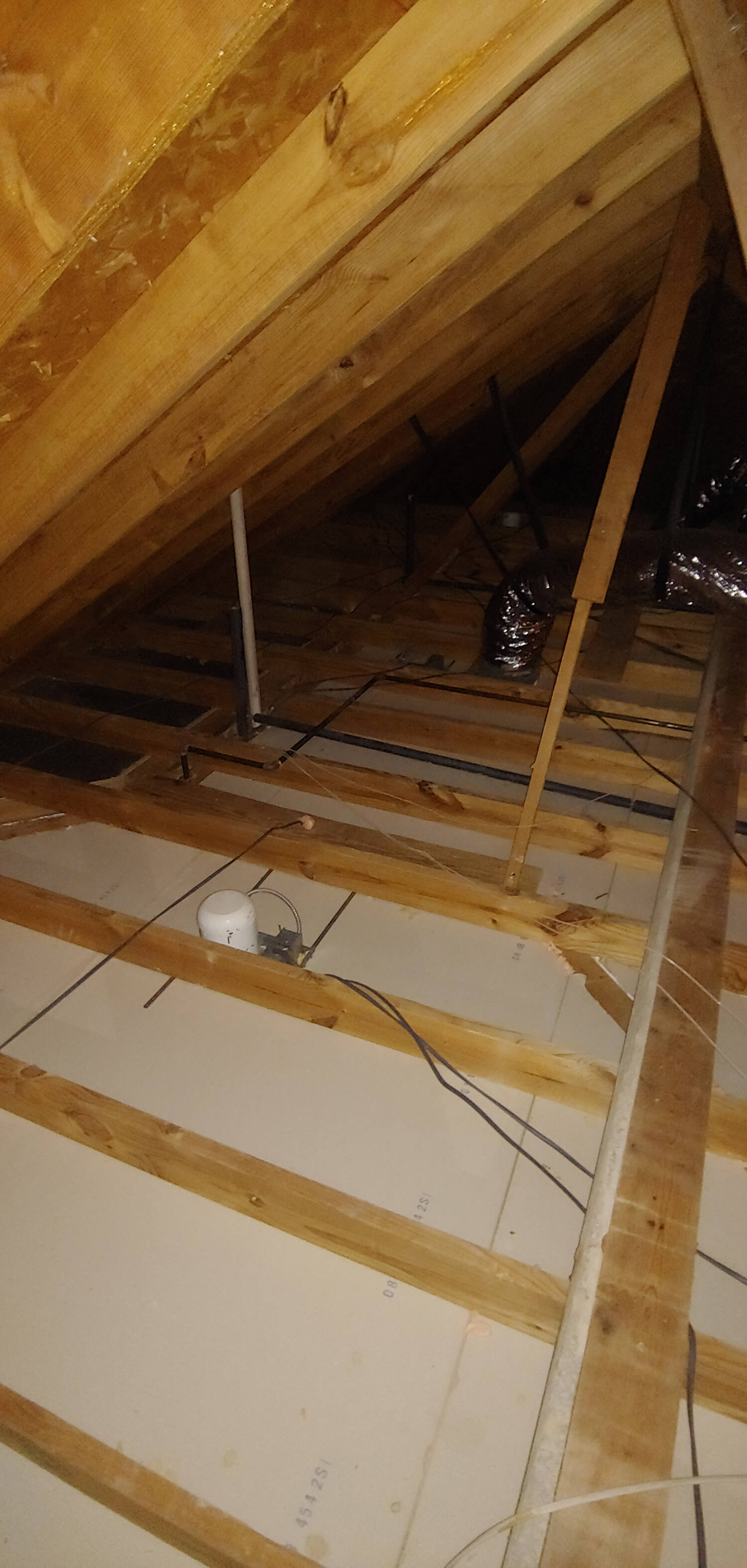 insulation removal Rathdrum