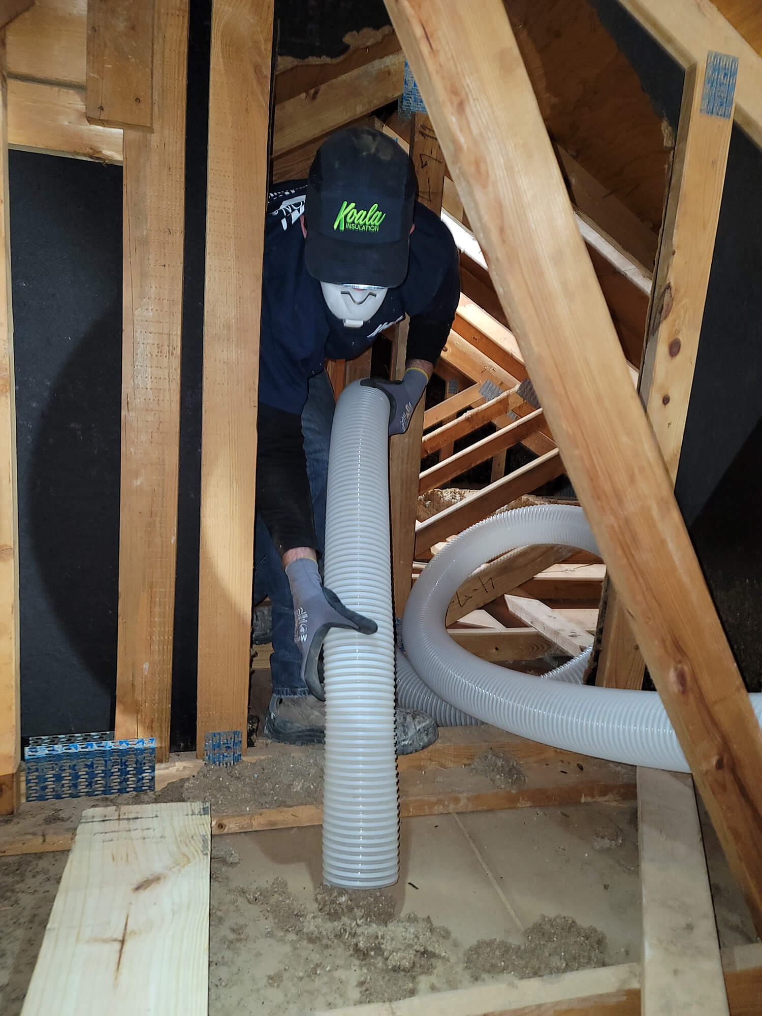attic insulation removal North Texas