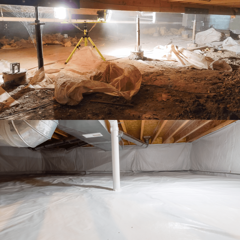 Crawl Space Encapsulation Services - Koala Insulation