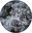 Cellulose