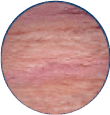 Fiberglass