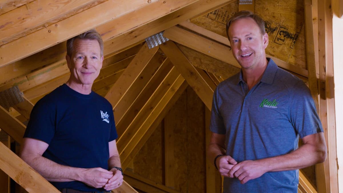 Koala Insulation - Installation and Assessment Experts