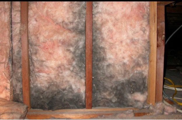How Insulation Prevents Mold Growth