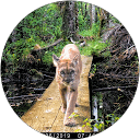 Bobby Wummer Photography profile picture