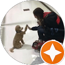 Adventures With Moxie profile picture